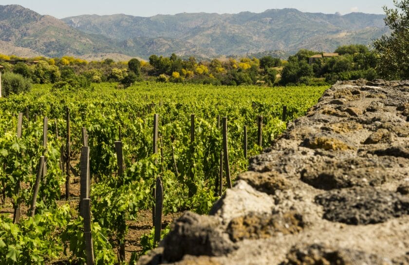 Tenuta di Fessina