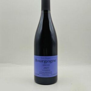 Bourgogne Rouge 2021 Domaine Sylvain Pataille