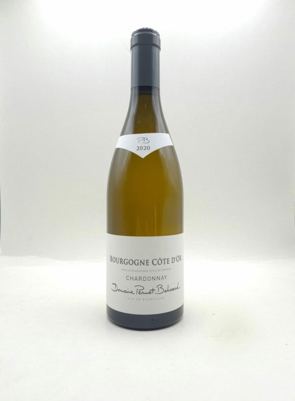 Bourgogne Blanc Cote d'Or 2020 Domaine Pernot Bellicard