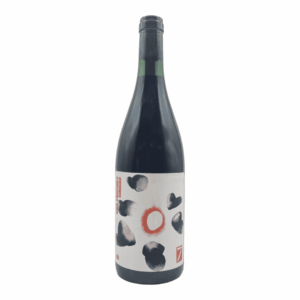 Nizza V.V 2020 Sette