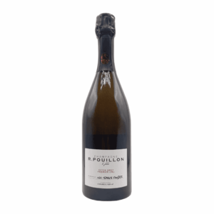 Champagne Les Terre Froides 2018 Premier Cru Extra Brut Magnum Roger Pouillon & Fils